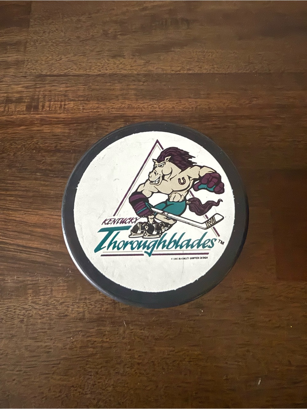 Kentucky Thoroughblades AHL Hockey Puck Retired Team.